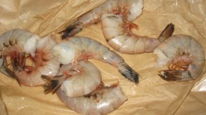 Wild caught shrimp